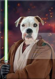 Custom Star Wars Pet Portrait Dog Portrait Pet Portraits Dog Portraits Pet Artist