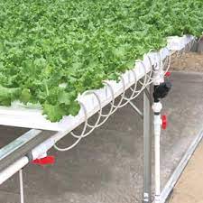 Hydrocycle 4 Commercial Nft Lettuce Systems Farmtek