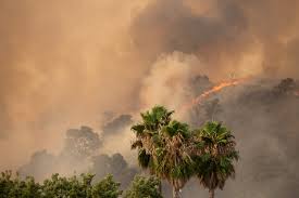 Fire origins mark the fire fighter's best guess of where the fire started. 2020 California Fires How To Help The San Francisco Foundation