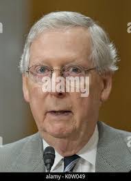 Courtney Cunard's Instagram, Twitter & Facebook