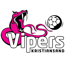 Ehf executive committee confirms decision to cancel the final weekend of the delo women's ehf champions league 2019/20, scheduled to take place in budapest from 3 to 6 Spillerstall Vipers
