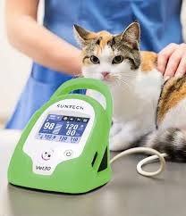 Toma de Presión Arterial para Perros y Gatos a Domicilio en Providencia,  Las Condes, Ñuñoa, Vitacura, La Reina | Dra. Aurora Shen Copy 4