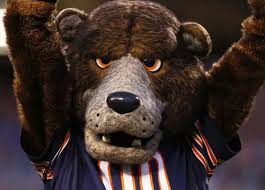 Bears are carnivoran mammals of the family ursidae. Kids Club News And Promotions Chicago Bears Official Website