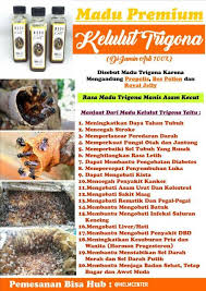Khasiat madu kelulut termasuklah meningkatkan metabolisme badan, menambahkan tenaga sama seperti lebah madu, kelulut juga menghasilkan madu dan propolis yang kaya dengan khasiat. Sale Madu Kelulut Asli 1000 Terjamin Madu Trigona Stinglessbee 250ml Daya Tahan Tubuh Tambah Imun Shopee Indonesia