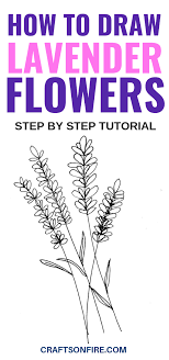 Yes, you can draw these easy flowers!! How To Draw Lavender Flowers Easy Step By Step Guide Craftsonfire