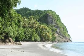 Guide touristique et annuaire de voyage et des loisirs en martinique: Karibisches Inselparadies Martinique Urlaubsguru