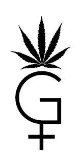It has nothing to do with racial sensitivity. Fun Things To Do While You Re High Girls In Green