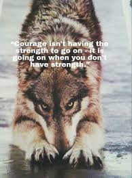 Courage Animals Animals Beautiful Wild Dogs