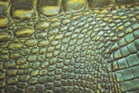 The second difference is that crocodile skins have a small pore close to the edge of each of the scales, which is a remnant of a hair follicle. Vq5nhkpy4hnyam