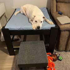 Your dog will have a hard time chewing up an elevated dog bed while a traditional pillow bed stuffed with poly fiber fill is easy to rip apart and spread all over the house. Average Size Wood Raised Elevated Dog Bed Platform With Step Etsy Dog Bed Large Elevated Dog Bed Raised Dog Beds