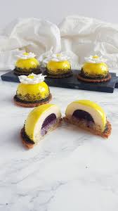 Homemade Lemon And Blueberry Mousse Domes Food Fancy Desserts Recipes Mousse Recipes Fancy Desserts