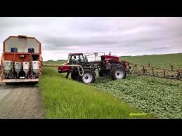 Spraying In Canola Precision Agriculture Spray Monster Trucks