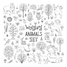 93 209 Black And White Animals Illustrations Clip Art Istock