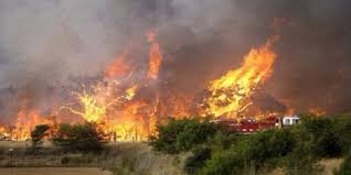 We will start a fire in the forest of ath lahsan in the municipality of bani yeni (ath yani) with tizi and zo. Ø§Ù„Ø¬Ø²Ø§Ø¦Ø± ÙˆÙØ§Ø© 3 Ø£Ø´Ø®Ø§Øµ Ø­Ø±Ù‚Ø§ ÙˆØ§Ø®ØªÙ†Ø§Ù‚Ø§ Ø¨ÙŠÙ†Ù‡Ù… Ø¹Ø¬ÙˆØ² ÙÙŠ Ø­Ø±ÙŠÙ‚ Ø¨Ø¬Ø¨Ø§Ù„ Ø³ÙƒÛŒÙƒØ¯Ø©