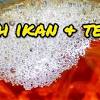 Pasar pudu tengok ikan laga bersama ikmal. Https Encrypted Tbn0 Gstatic Com Images Q Tbn And9gcqmzooxdy82eqwxnlc8an Rzzzebd8uo6ozcghmnpcybikoqbuq Usqp Cau