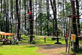 Wisata hutan pinus bisa menjadi alternatif yang layak dipertimbangkan, lho! Cikole Bandung Kawasan Wisata Alam Terpadu Yang Selalu Asri