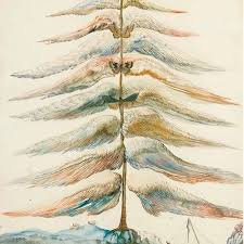 Michelle Collis (@michelle_collis) • Instagram photos and videos