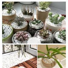 Batu merah yang dibuat dari tanah liat dicampur dengan pasir yang dibakar.,ia lebih berkualiti.bahan ini lebih mahal berbanding batu putih kerana ketahanannya menahan haba,jadi rumah lebih sejuk. 1 Kg White Pebble Stone Garden Landscape Decoration Batu Putih
