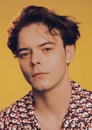 Fan Casting Harry Osborn as Charlie Heaton in Actors Who Should Play  Characters In The MCU