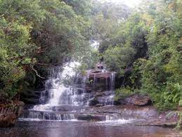 It's a great place to picnic, with free barbecues and picnic tables and plenty of space to set up your own rug and chairs. Somersby Falls Sydney