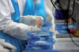 La carte, le numéro de téléphone, le site internet. Intermarche Industriel De Premier Plan