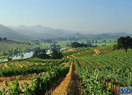 47 miles or 76 km Napa Valley Located About An Hour North Of San Francisco Is The Sunny Countryside Where You Will Find Excellent Wineri Vineyard Art Napa Valley Pretty Places
