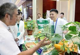 当育种遇上AI：种业有了“显微镜”和“智慧脑” | 极目新闻