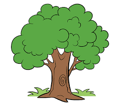 Over 2,552 green tree frog pictures to choose from, with no signup needed. How To Draw A Cartoon Tree Easy Step By Step Drawing Guides Cartoon Trees Tree Drawing For Kids Tree Drawing Simple