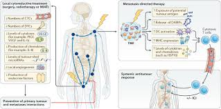 Specifically, they form in your liver, which is an organ that cleans your blood and helps your body process nutrients. Cytoreductive Treatment Strategies For De Novo Metastatic Prostate Cancer Nature Reviews Clinical Oncology X Mol