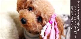 「日本、〒567-0045 大阪府茨木市紫明園３−２８ オレンジハウス」の画像検索結果