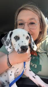 My puppers his name is Riley 🐶🐾🐶🐾🐶🐾