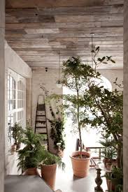 The Living Green Winter Garden Barn Wood Ceiling Wood Ceilings Home Goods Decor