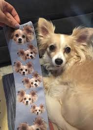 Check spelling or type a new query. Just 34 Of The Cutest Products With Dogs On Them