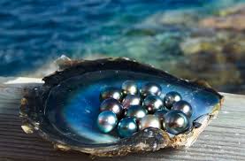 Don't know how to buy pearls? Mastering Pearl Buying: Your Essential G