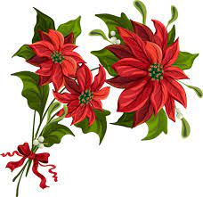 Transparent Christmas Png Poinsettia Clipart Christmas Decoupage Christmas Poinsettia Christmas Flowers