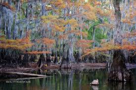 Cabello Frances Texas Lakes Places To Go Nature