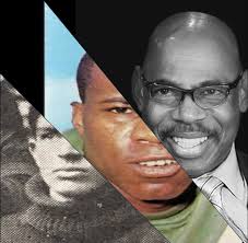 All Bones Considered: Laurel Hill Stories