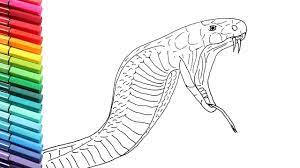 We would like to show you a description here but the site won't allow us. How To Draw King Cobra Attack Drawing And Coloring Snake Color Pages For Children Youtube