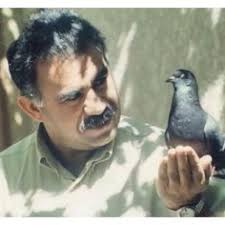 It translates as long live chairman apo. apo is not, as is often wrongly claimed, the kurdish word for uncle, but refers to the short form of the name abdullah for abdullah öcalan. Reber Onderlik Abdullah Ocalan Icin 26 Fikir 2021 Kurdistan Ermenice Anilar