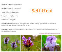 We did not find results for: The Self Heal Herb