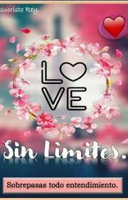 Pin On Amor Sin Limites