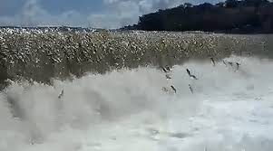 O balé dos peixes na piracema na Barragem de Jucurutu-RN. Vídeo