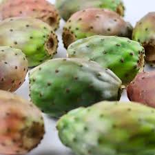 In mexico, they're referred to as tunas. and no, there's absolutely no connection to the fish. Bondi Produce O P U N T I A Aka Prickly Pear Cactus Facebook