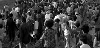 Image result for Kampochloa