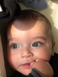 ryan merheb (@RyanMerheb)