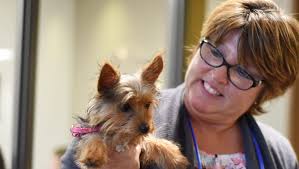 First American Title participates in Biscuit Challenge