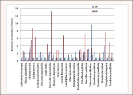 Image result for Sclerocroton