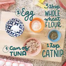 Homemade cooked cat food recipes. Diy Cat Treat Fast And Fishy Tuna Cat Treats Bechewy
