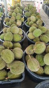 Persepsi pertama semasa melihat isi hanyalah sekadar ouh tidak kuning, tapi. Misi Mencari Durian Murah Ini Antara Lokasinya Memang Puas Hati Rugi Kalau Tak Serbu Keluarga