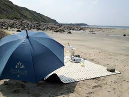 Moy House Co Clare Blue Books Picturesque Patio Umbrella